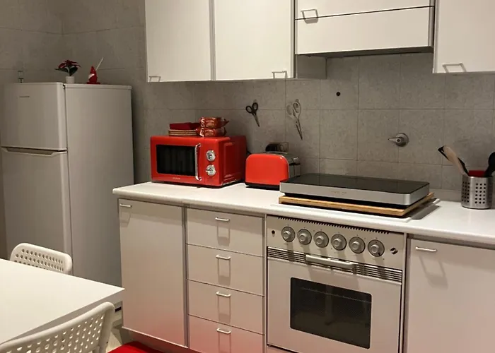 Apartment Casa Spallanzani - Pochi Minuti Da Inalpi Arena, Mauziano, Molinette *